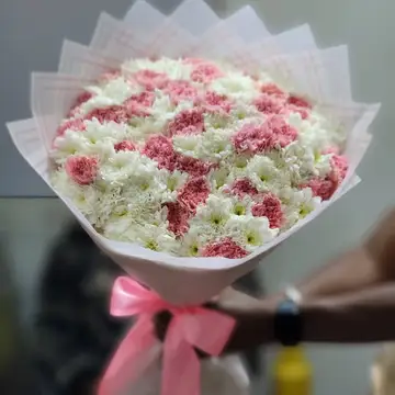 Sweet Blooms Canations — flowers delivered in Nairobi by Floral Whispers Gifts