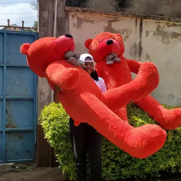 Love Bug Teddy — teddy bears delivered in Nairobi by Floral Whispers Gifts