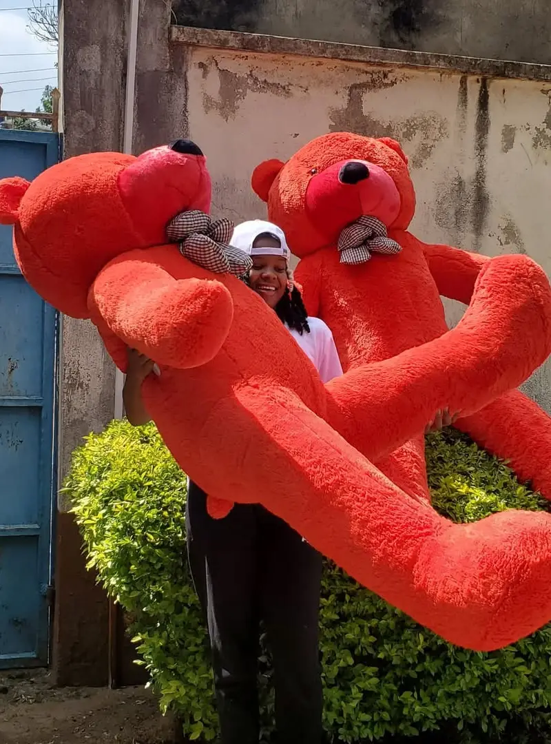 Love Bug Teddy - Teddy bears Kenya, Nairobi gift delivery | Floral Whispers Gifts - Image 1