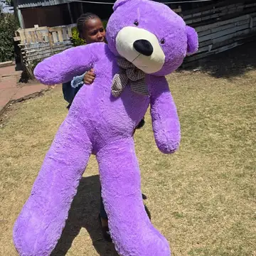Coco Puff Teddy — teddy bears delivered in Nairobi by Floral Whispers Gifts