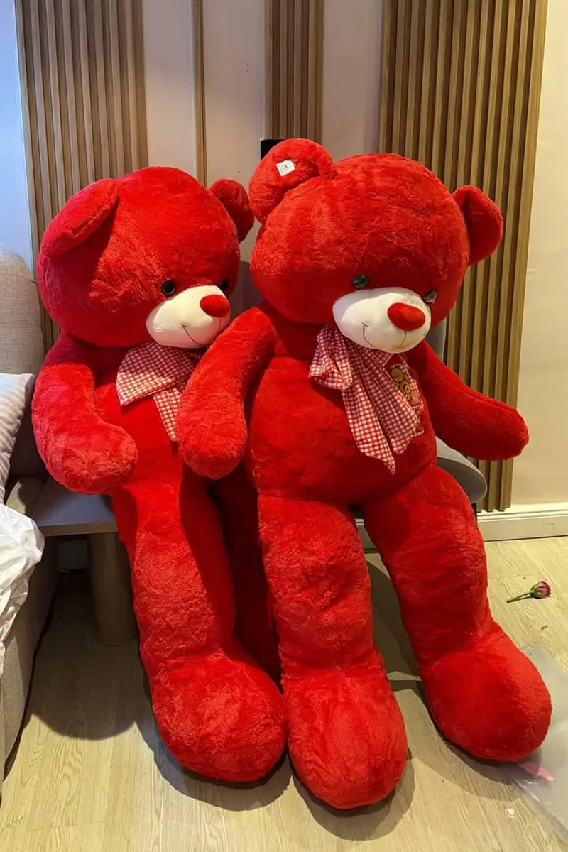 Cuddly Brown Teddy Bear - Teddy bears Kenya, Nairobi gift delivery | Floral Whispers Gifts - Image 1